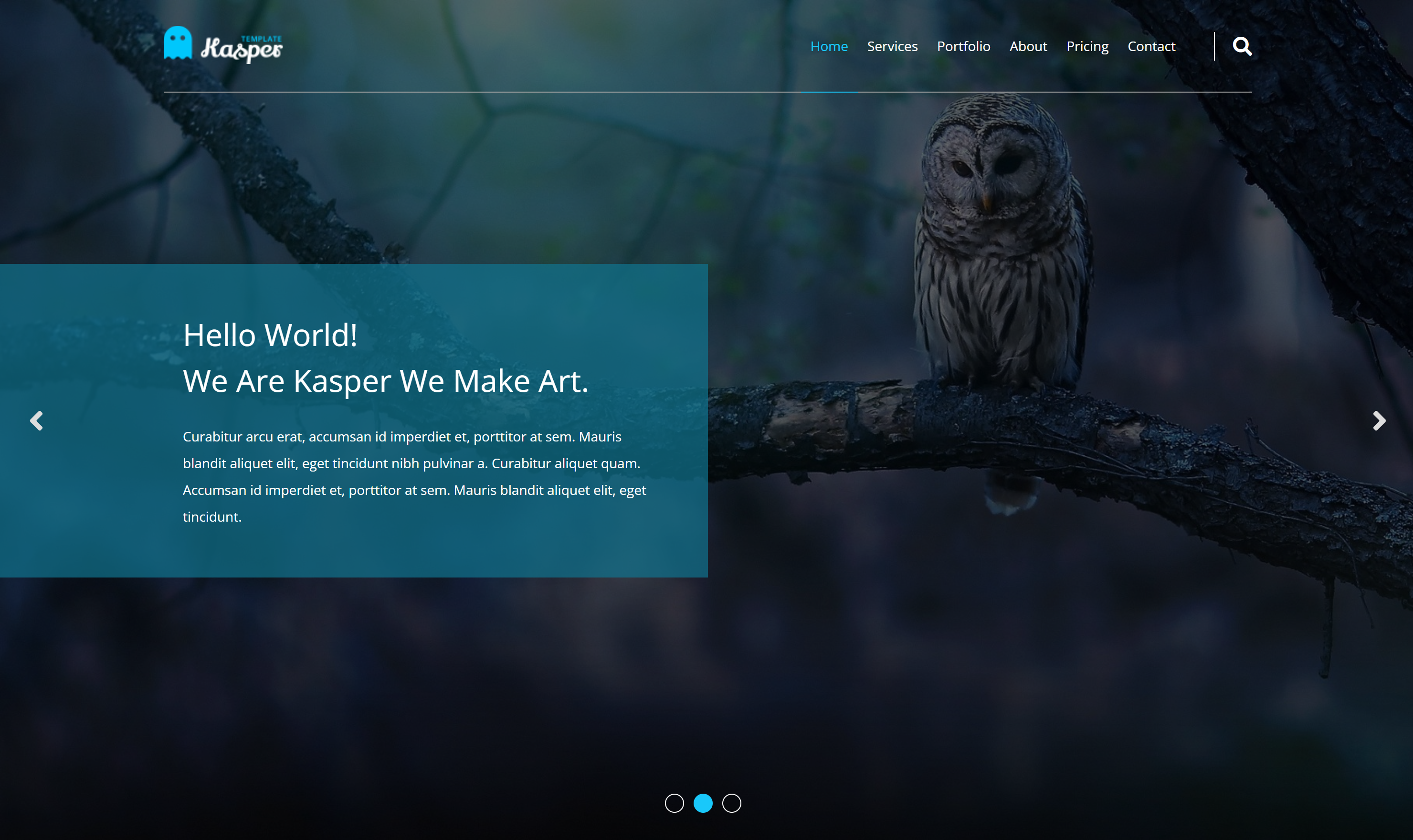 portfolio